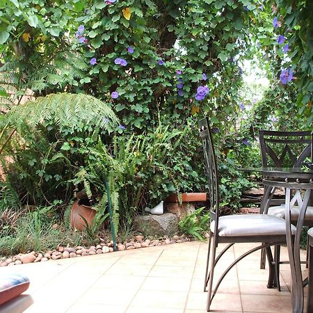 Cherry Tree Cottage B&B Linden Γιοχάνεσμπουργκ Εξωτερικό φωτογραφία