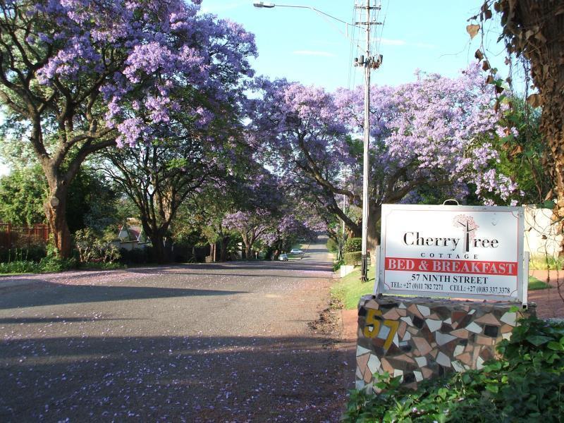 Cherry Tree Cottage B&B Linden Γιοχάνεσμπουργκ Εξωτερικό φωτογραφία